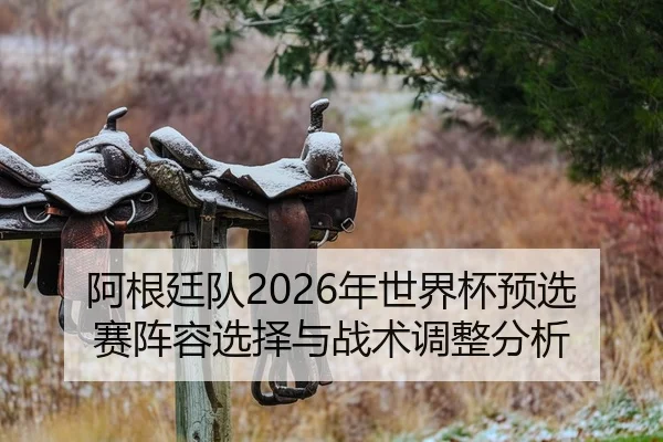 阿根廷队2026年世界杯预选赛阵容选择与战术调整分析
