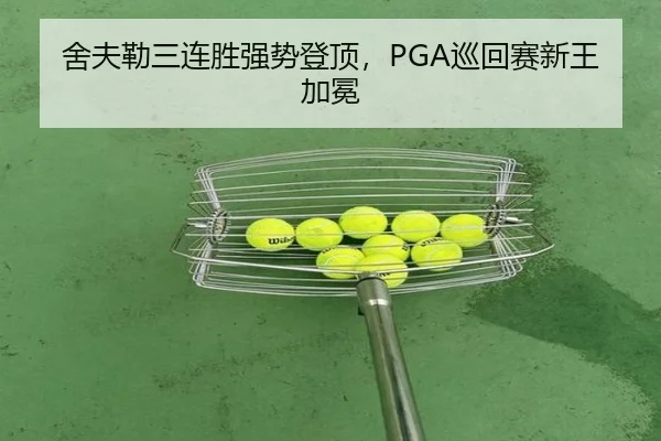 she-fu-lei-san-lian-sheng-qiang-shi-deng-ding-xun-hui-sai-xin-wang-jia-mian-2-535.jpg